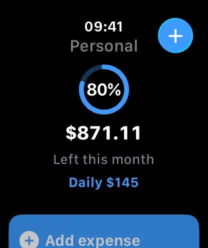 Apple Watch: 80% of the budget used