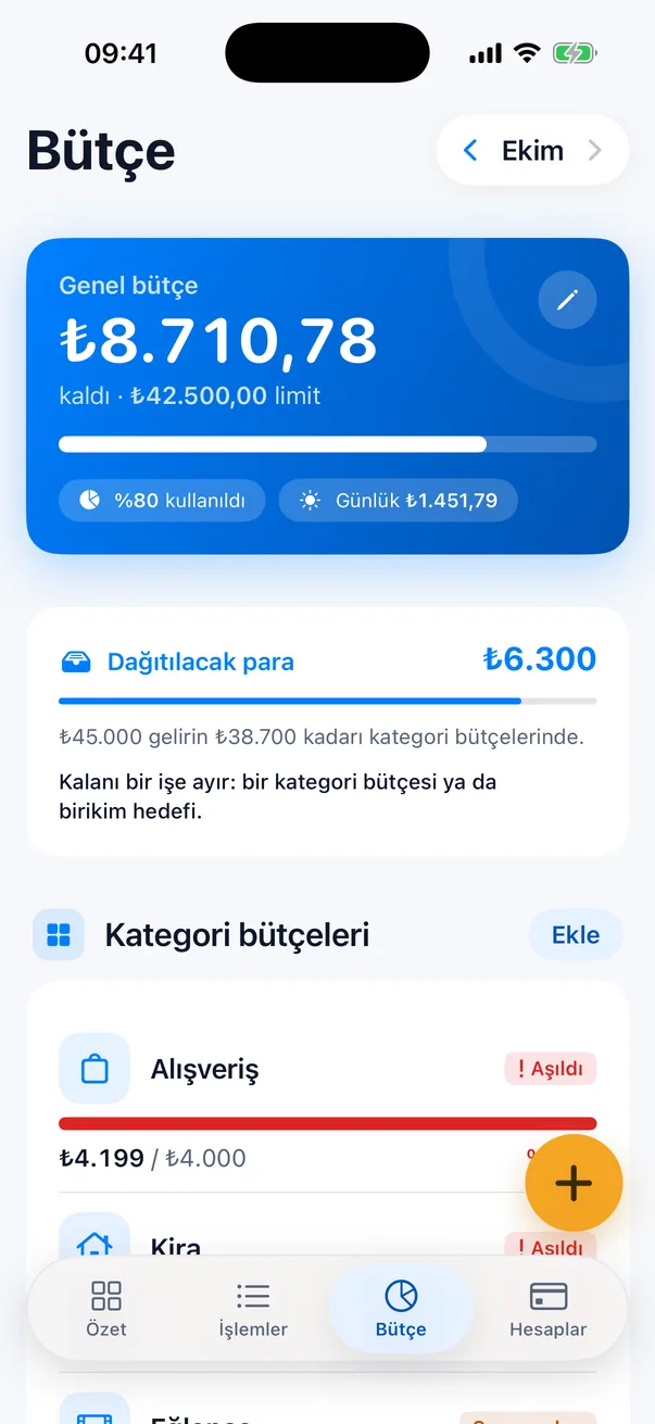Bütçe ekranı: genel bütçe ve kategori limitleri