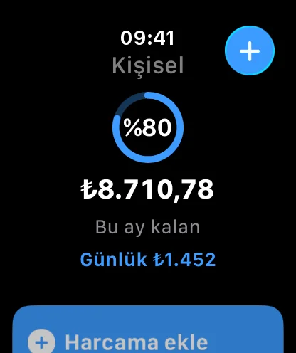 Apple Watch: bütçenin yüzde 80'i kullanıldı
